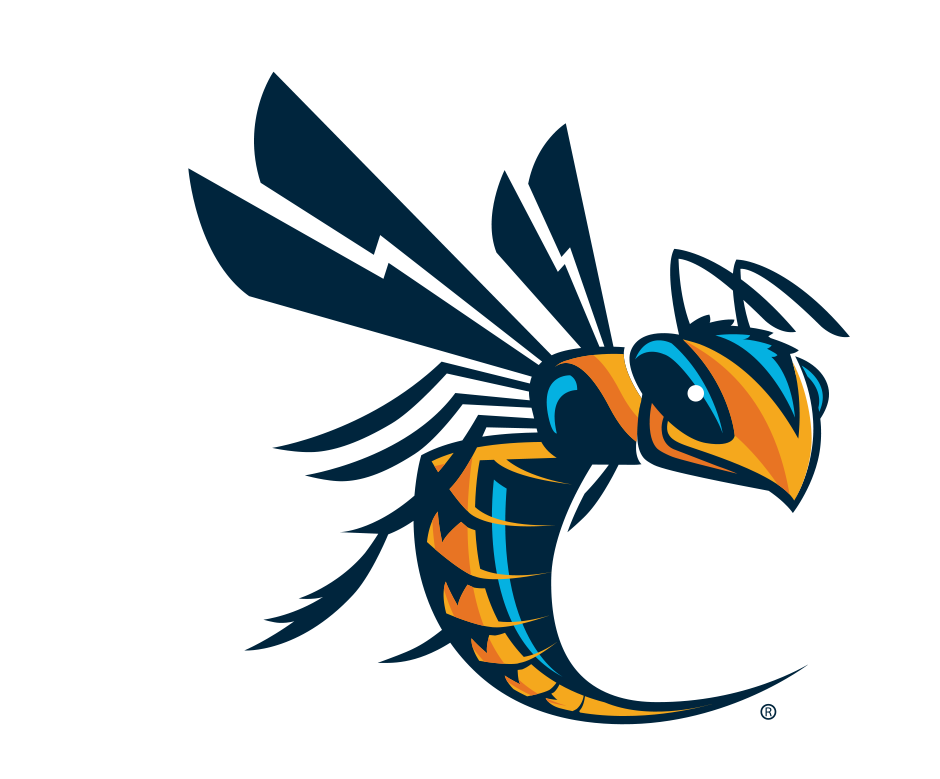 Cedarville Tennis Camps